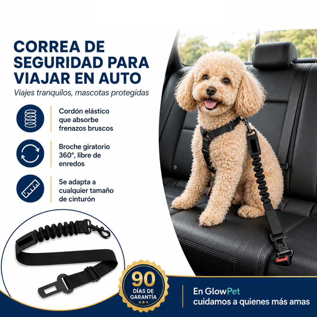 Dog wearing an adjustable pet car seat belt in the back seat